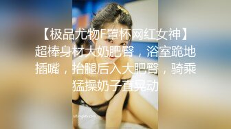 【调教】我们的目标是前后塞满