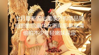 七月最新流出魔手外购精品厕拍影剧院豪华女厕前后景高清偷拍不少年轻嫩妹尿尿