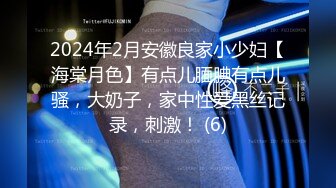 2024年2月安徽良家小少妇【海棠月色】有点儿腼腆有点儿骚，大奶子，家中性爱黑丝记录，刺激！ (6)