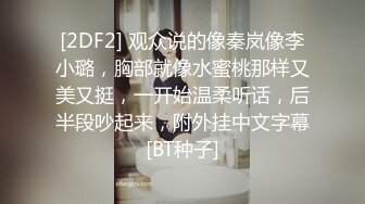 [2DF2] 观众说的像秦岚像李小璐，胸部就像水蜜桃那样又美又挺，一开始温柔听话，后半段吵起来，附外挂中文字幕[BT种子]