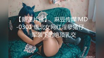 onlyfans淫妻绿帽【swingdog】 约单男3p啪啪 无套输出最新合集【496V】 (168)