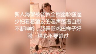 颜值美御姐炮友不在自慰，开档情趣内裤，扒开骚穴假屌抽插，搞得小穴湿湿