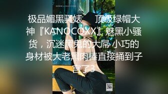 onlyfans伪娘【nano_nano 】带贞操锁 炮机自慰 合集【158v】 (16)