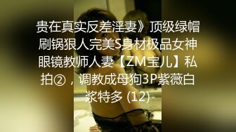 [2DF2] 暗恋已久的美女同事喝多了 偷偷溜进她的房间 嘿嘿嘿！ -[BT种子]