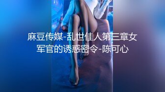 麻豆传媒-乱世佳人第三章女军官的诱惑密令-陈可心