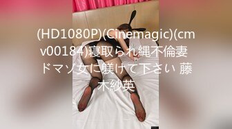 (HD1080P)(Cinemagic)(cmv00184)寝取られ縄不倫妻 ドマゾ女に躾けて下さい 藤木紗英