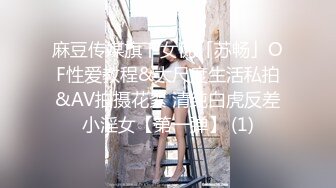 麻豆传媒旗下女优「苏畅」OF性爱教程&大尺度生活私拍&AV拍摄花絮 清纯白虎反差小淫女【第一弹】 (1)