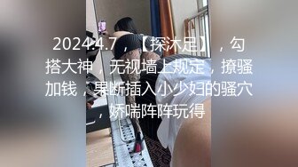 STP32249 麻豆传媒 MD0200-2 隐秘的角落 下集 夏晴子