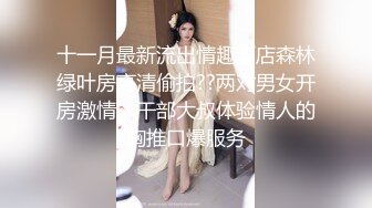 美乳模特