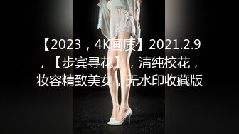 【2023，4K画质】2021.2.9，【步宾寻花】，清纯校花，妆容精致美女，无水印收藏版