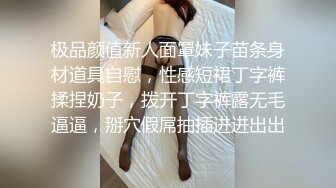 国产麻豆AV MSD MSD019 女神的秘密 下 欧妮