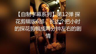 钛合金TiTi NO.063 血滴子