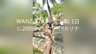 WANZ-474 (中文字幕) 1日に200回イク女 西田カリナ