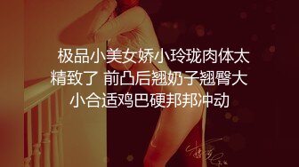 极品轻熟女少妇与炮友大战，战场遍布全家各个场所，吃鸡技术一流，无套狂艹，叫声诱人！