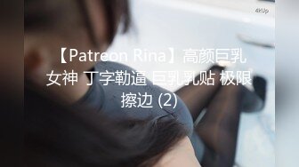 【Patreon Rina】高颜巨乳女神 丁字勒逼 巨乳乳贴 极限擦边 (2)