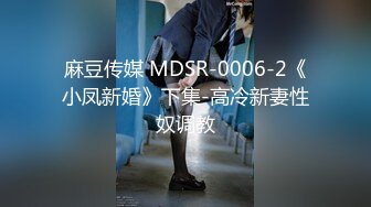 麻豆传媒 MDSR-0006-2《小凤新婚》下集-高冷新妻性奴调教