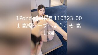 1Pondo 一本道 110323_001 高級ソープへようこそ 高垣楓