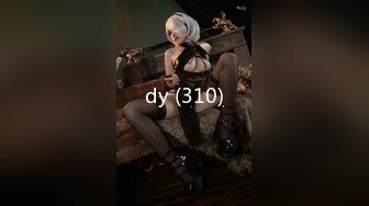 dy (310)