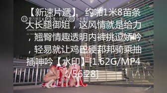 1/12最新 约炮美女钢琴老师开腿后入爆肏淫物异常刺激VIP1196