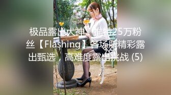 极品露出大神！推特25万粉丝【Flashing】各场所精彩露出甄选，高难度露出挑战 (5)